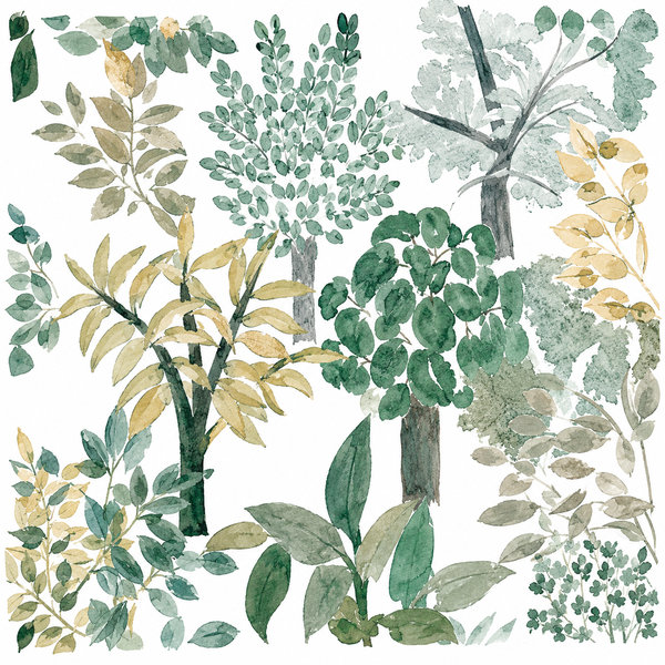 Thumbnail product image - 1