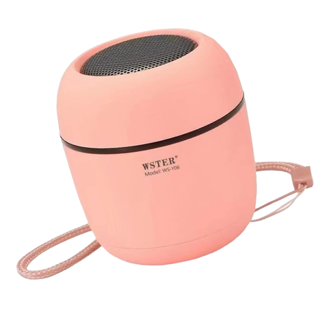 Wster mini bluetooth fashion speaker