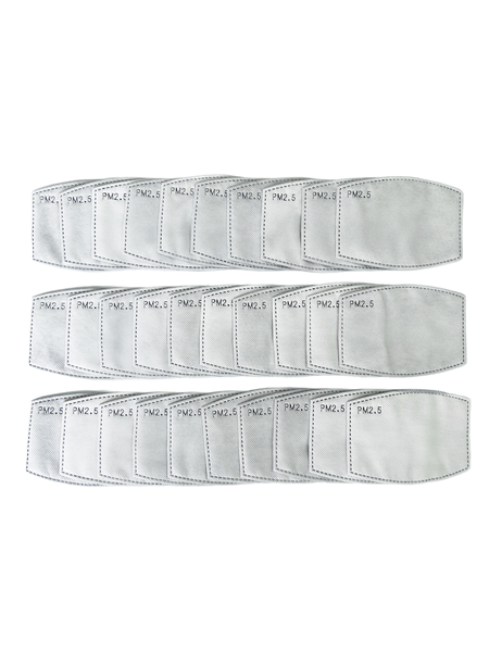 PM 2.5 Filter for Masks - 30 Pack