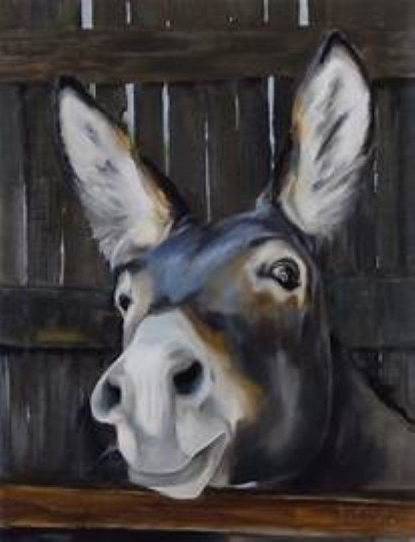 Premium 14CT Cross Stitch DIY Kit_ 40cm x 50cm Donkey PRCS0005 Buy