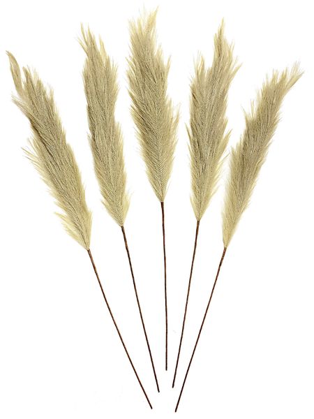 Wheat image