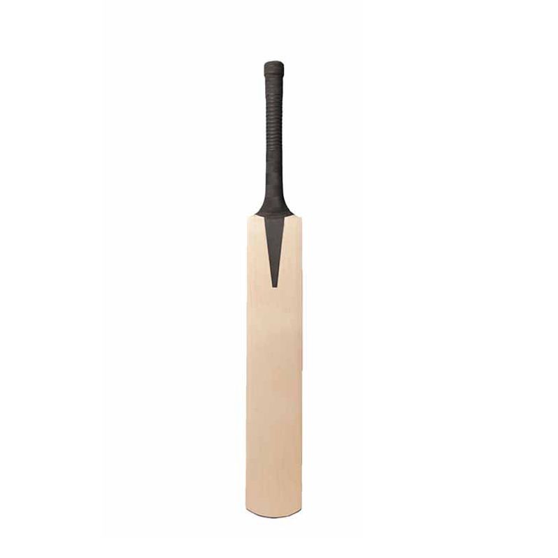 Cricket Bat Shop Today. Get it Tomorrow!