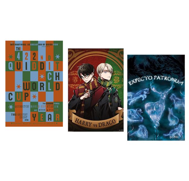 Harry Potter Poster Pack Combo (Set of 3)