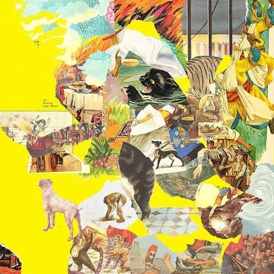 The Big Exercise (Vinyl / 12" Album)