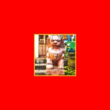 Eighteen Movements (Vinyl / 12" Remastered Album)