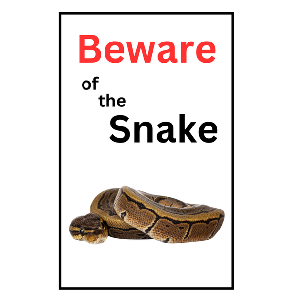 Beware of the Snake Sing - Boa - 30cm x 20cm x1mm Wide
