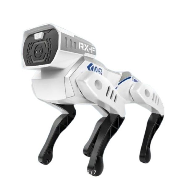 SamMag Biz AI Robotic Dog