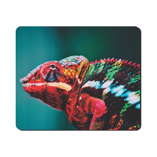 Mouse Pad - Chameleon
