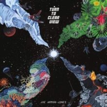 Turn to Clear View (Vinyl / 12" Album)