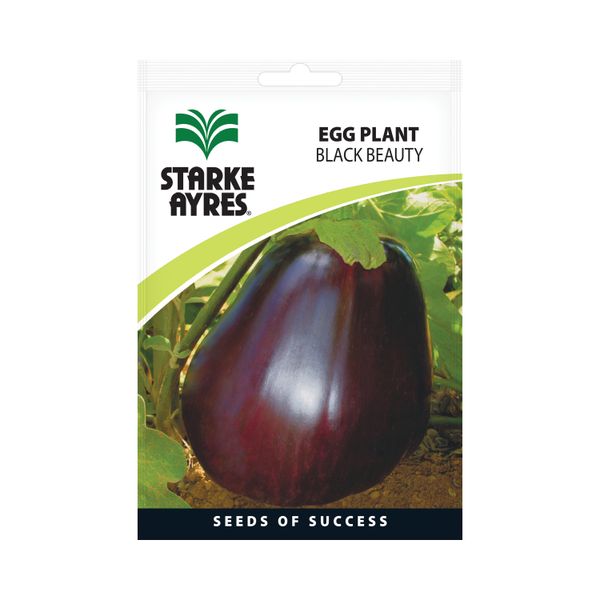 Starke Ayres Eggplant Black Beauty