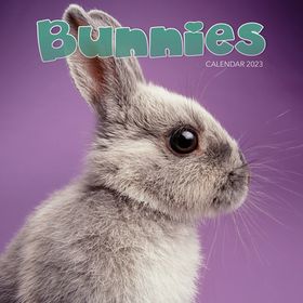 2023 Bunnies Mini Calendar | Buy Online in South Africa | takealot.com