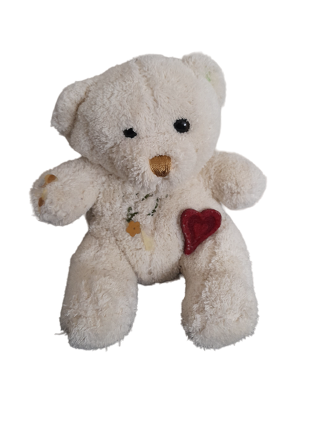 11cm x 15cm Cream Embellished Teddy Bear