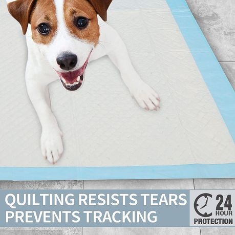 Pet Pee Pads And Puppy Training Pads Anti Slip Leakproof 45x60cm Blue Shop Today. Get it Tomorrow takealot