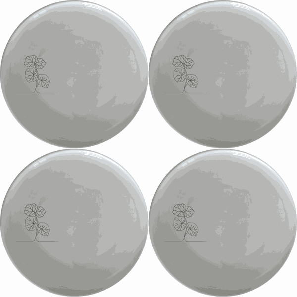 Begonia Maculata Side Plate Set of 4 - Range 2
