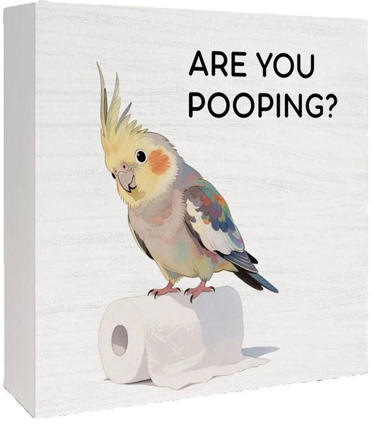 Are You Pooping Cockatiel Wooden Box Sign, Funny Bathroom Shelf Decor