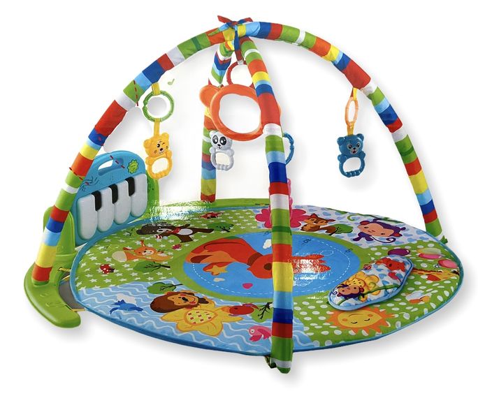 Baby Play Gym
