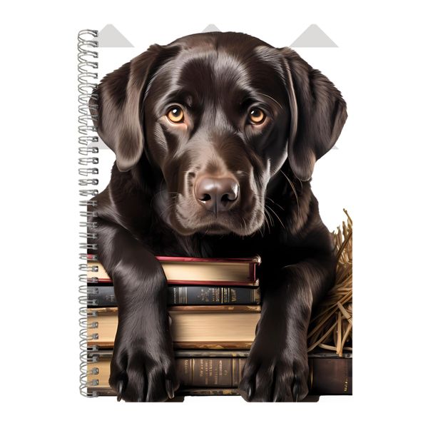 Wise A4 Notebook Spiral and Lined Golden Retriever Graphic Notepad Gift 184