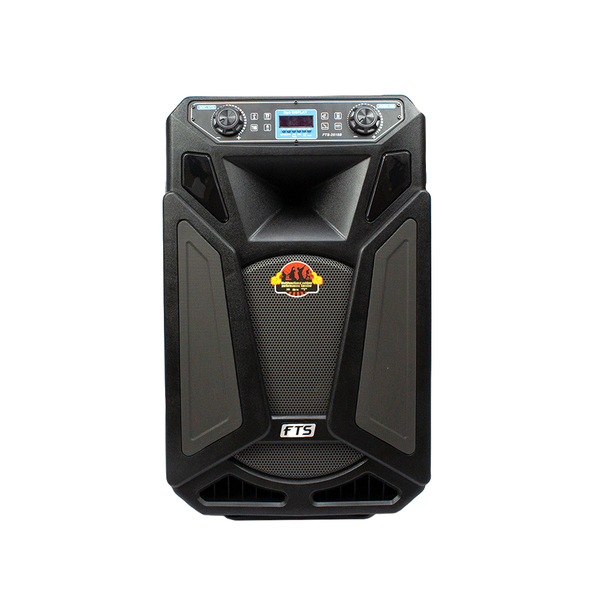 FTS-Groove Box 15” High Power Trolley Speaker