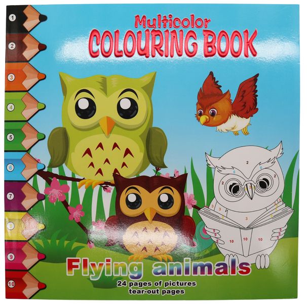 24 Page Flying Animals Multi Colouring Book