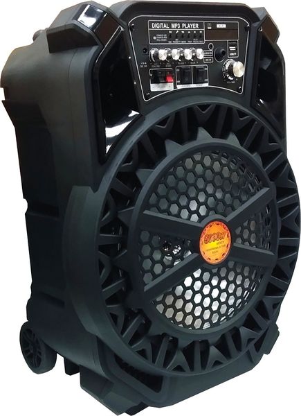 Portable 12" Trolly Speaker Wireless, Mic &amp; Remote