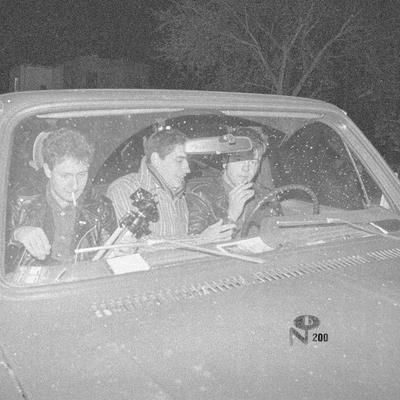 Savage Young Dü (Vinyl / 12" Album)