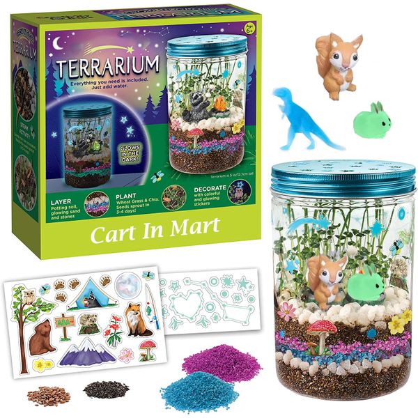 Glow In Dark Terrarium Kit For Kids - Educational Science Gardening Gift