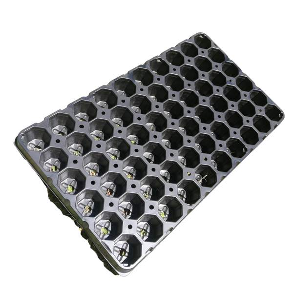 JIFFY 60 Hexagon Hole Cloning Tray
