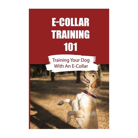 are e collars good for training dogs