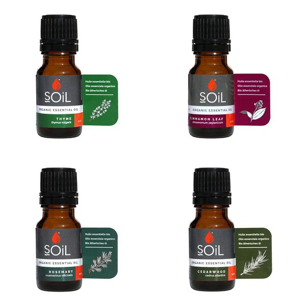 Spiced Forest Essential Oils Bundle
