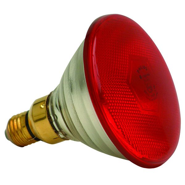Infra Red Lamp 175W
