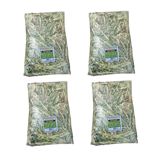 Rye Grass Bedding for Rabbits &amp; Chinchillas (value pack of 4)