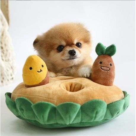 Sweet Potato Plush Interactive Pet Toy Shop Today. Get it Tomorrow takealot