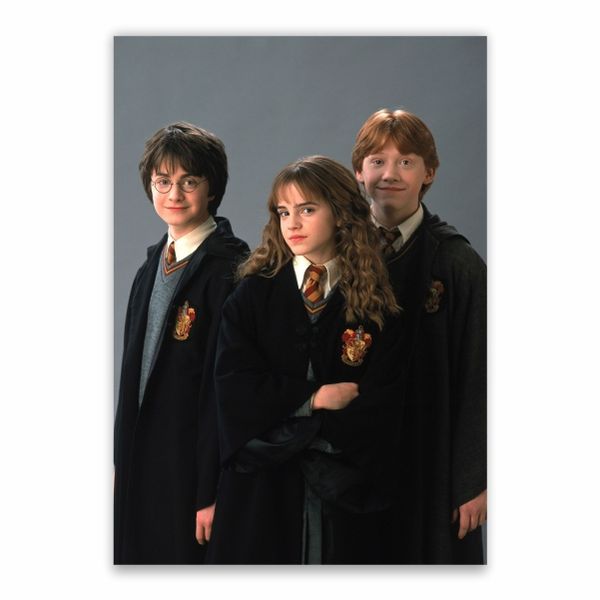 Harry Potter Golden Trio Poster - A1
