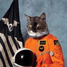 Surfing the Void (RSD 2020) (Vinyl / 12" Album Coloured Vinyl)
