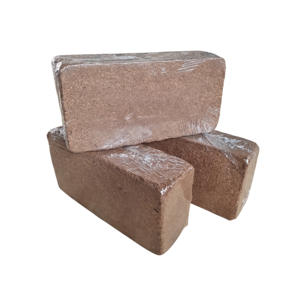 Coco Coir Blocks 650g Pack of 3 | Natural Growing Medium