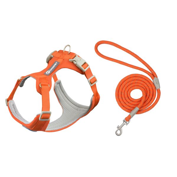 Medium Large Dogs Rope Set Orange