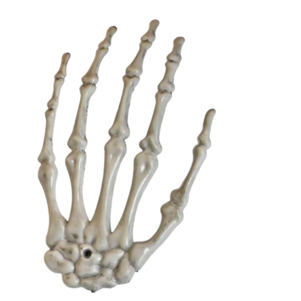 Halloween Skeleton Ornaments Big Claw Hair - 1 Piece