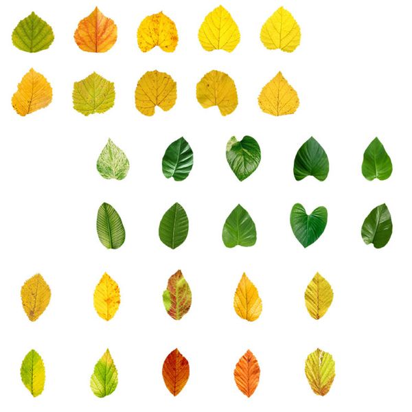 Craft Stationery Scrapbooking Autumn Leaf Stickers Jumbo Set of 150 (4cm)