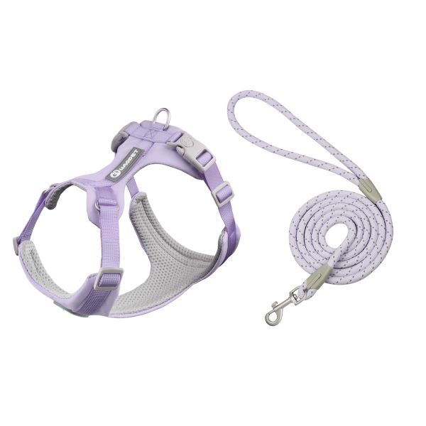 Medium Large Dogs Rope Set Purple