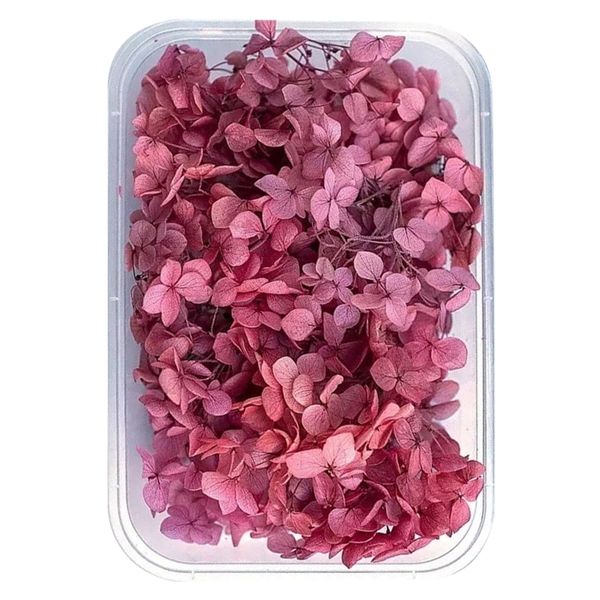 Natural Dry Hydrangea Flowers for Resin and Crafts - Burgandy