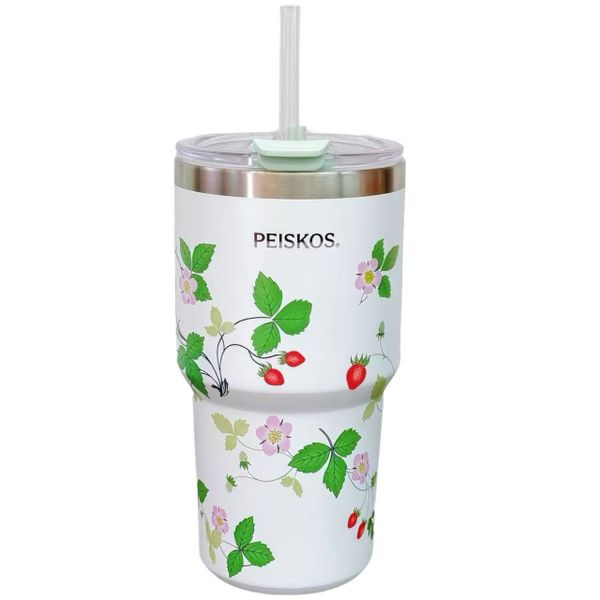 PEISKOS - Elegant 600ml Flask with Straw - Double-Wall Insulated Travel Cup Gift