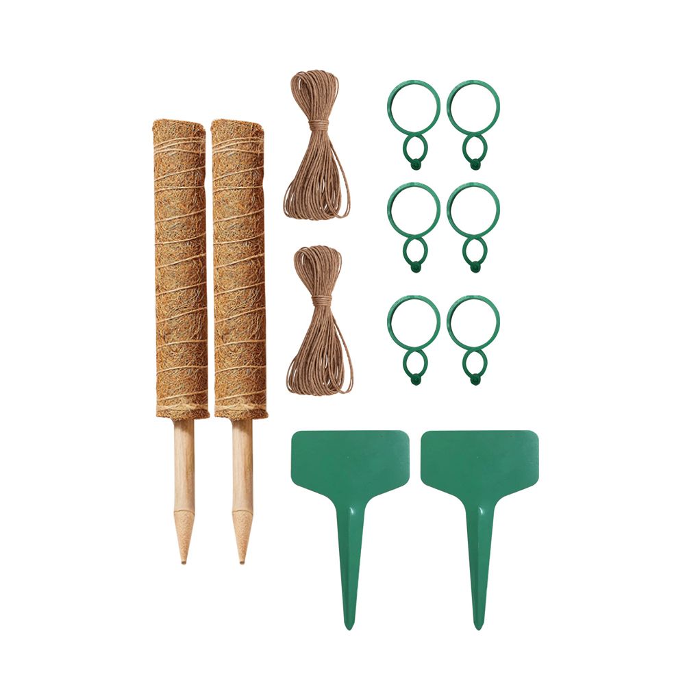 Coconut Silk Column Plant Stand Flowerpot Plants Supporter Set Buy