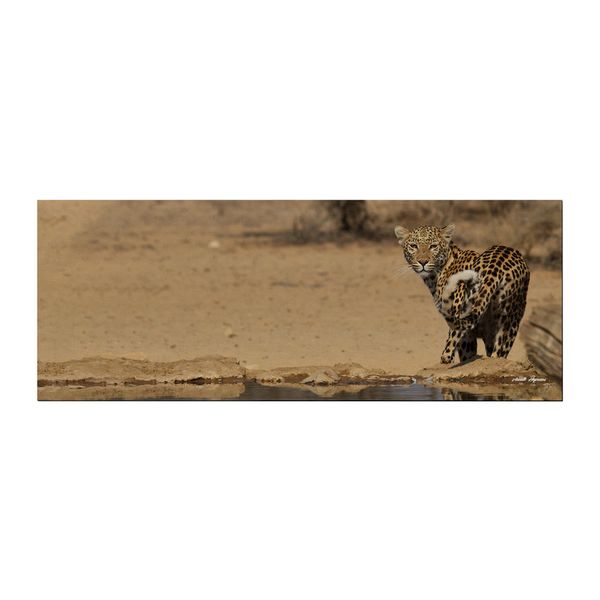 She s got the Look Large Desk Pad By Annette Heymans