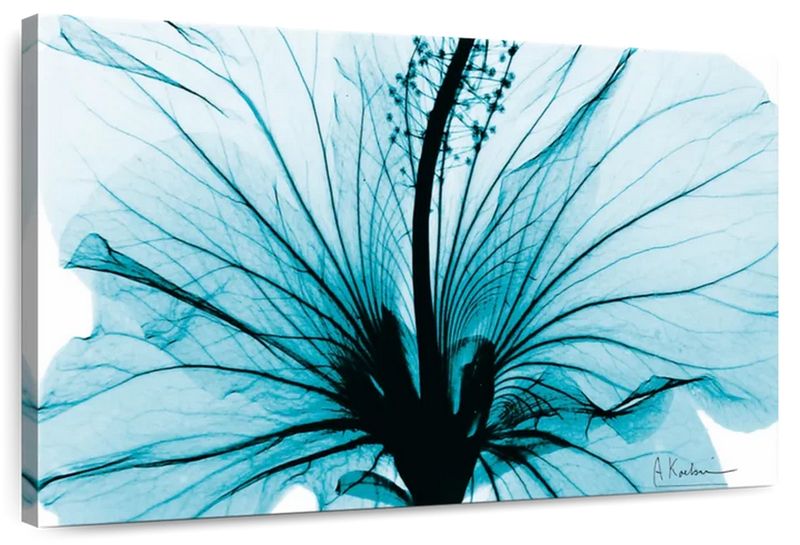 Canvas Art - Aqua Hibiscus Flower Canvas Wall Art Decor