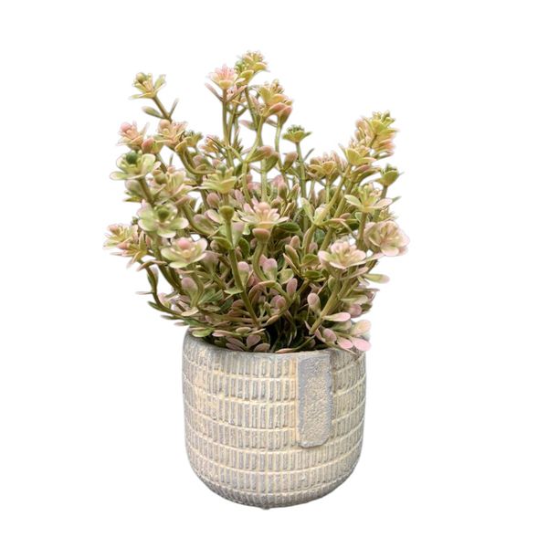 Set of 4 Mini Flower Pots