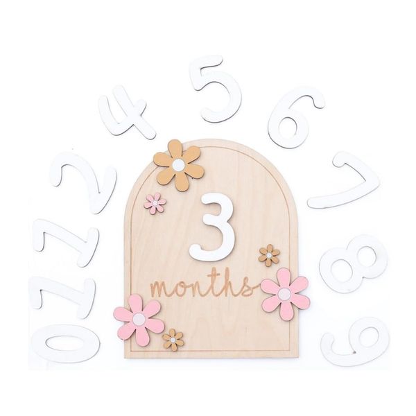 Wooden Baby Monthly Milestone Discs Monthly Milestone Cards for Newborn