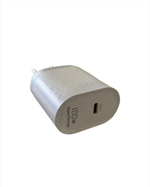 Olesson Fast Charging 100w Wall Charger &amp; Type C to Type C Cable 2M