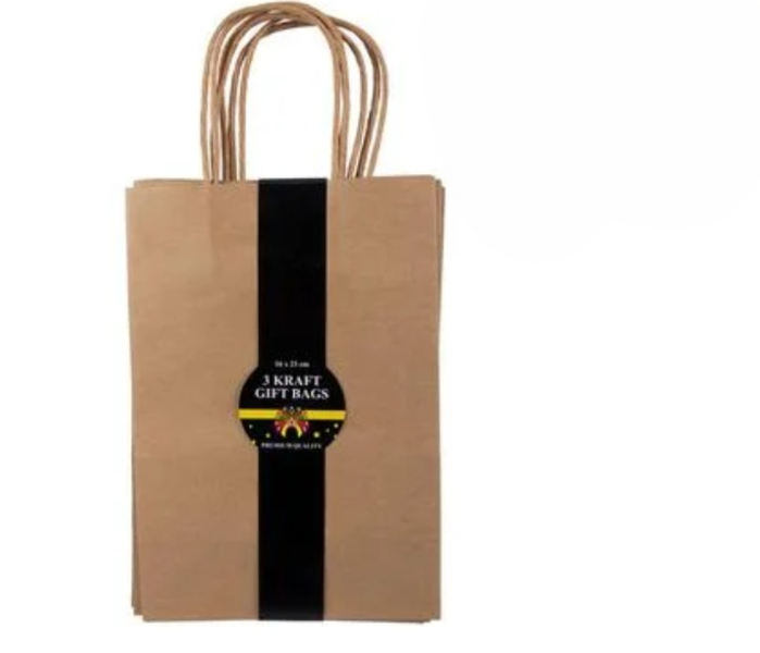 Premium Craft Paper Gift Bags, 3 Pack, Medium 16 x 23 cm
