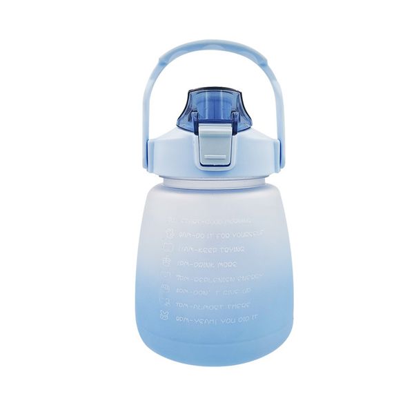 Lovely High Volume Water Bottle With Edible Material