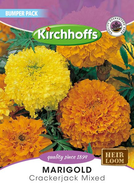Kirchhoffs Marigold Sunset Giants /Crackerjack Mixed Large Bumper Pack